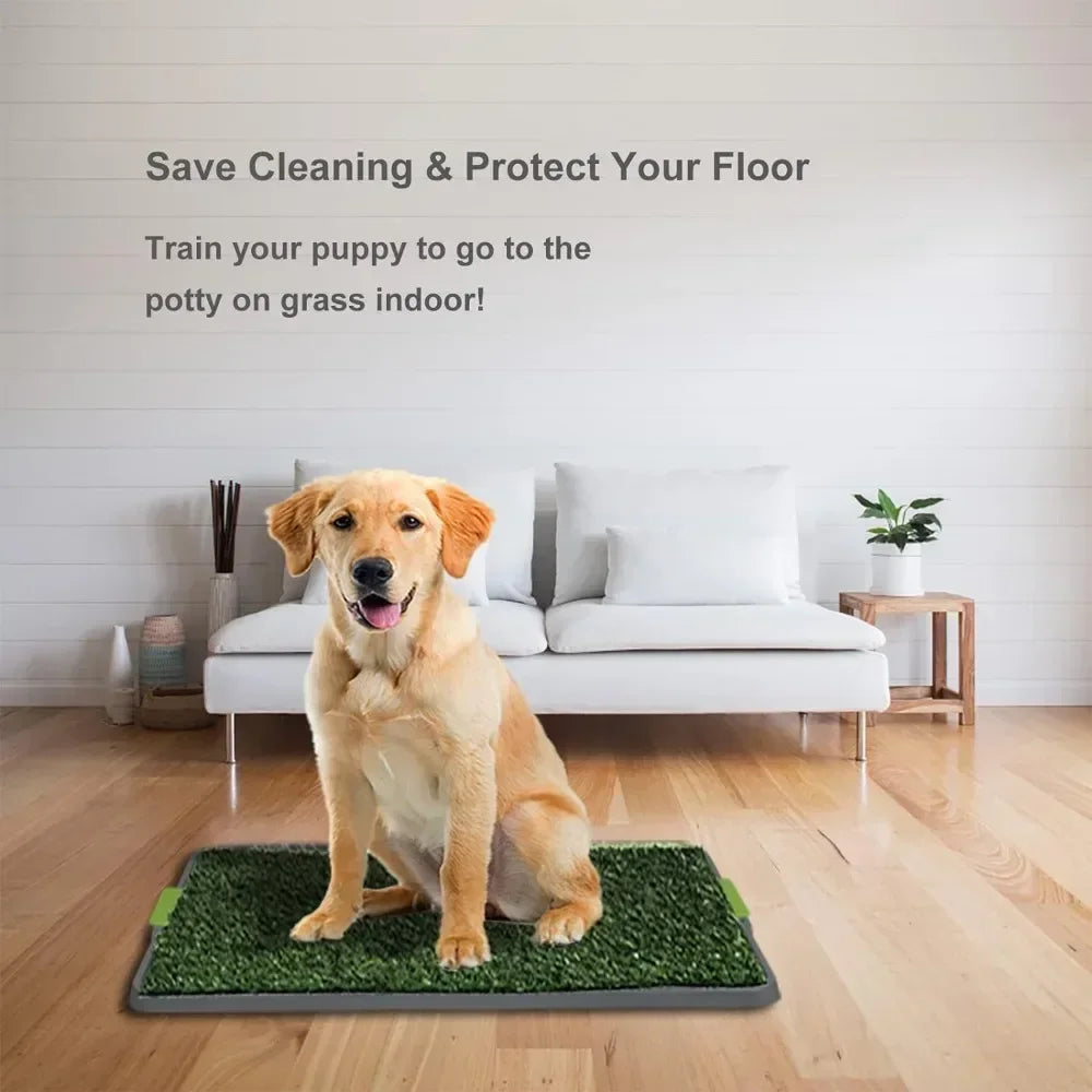 Removable Pet Potty Pet Dog Toilet