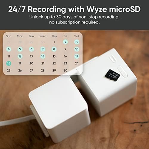 Portable Indoor/Outdoor Camera 