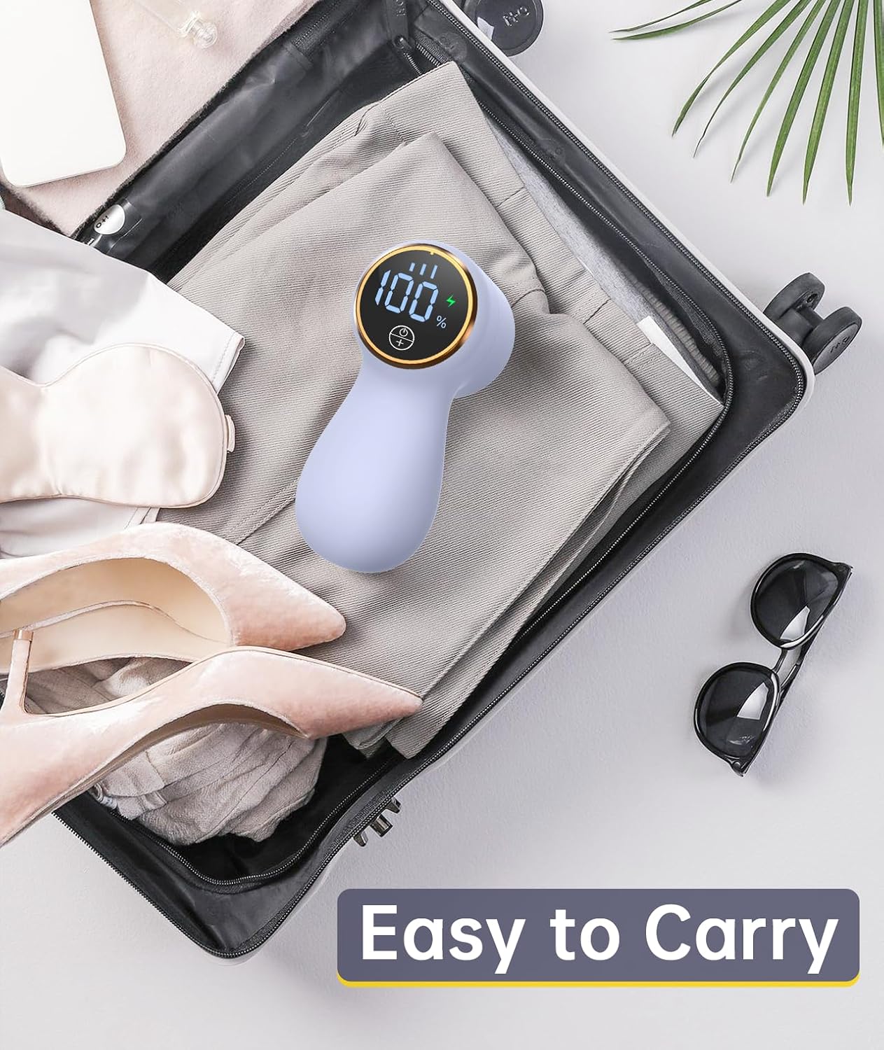Portable Lint Remover 