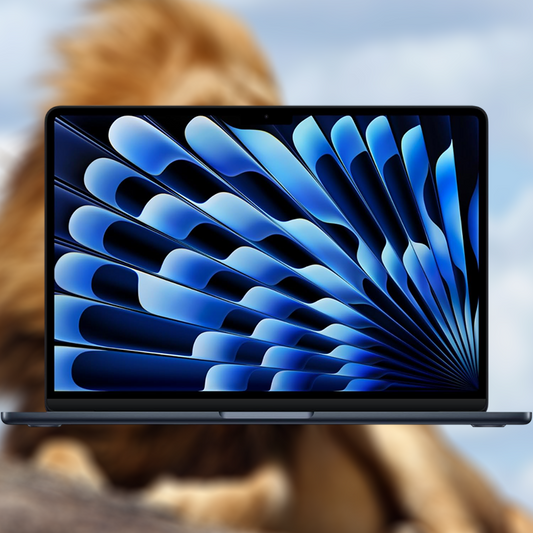 Macbook Air  M4 Chip Laptop (13 inch)