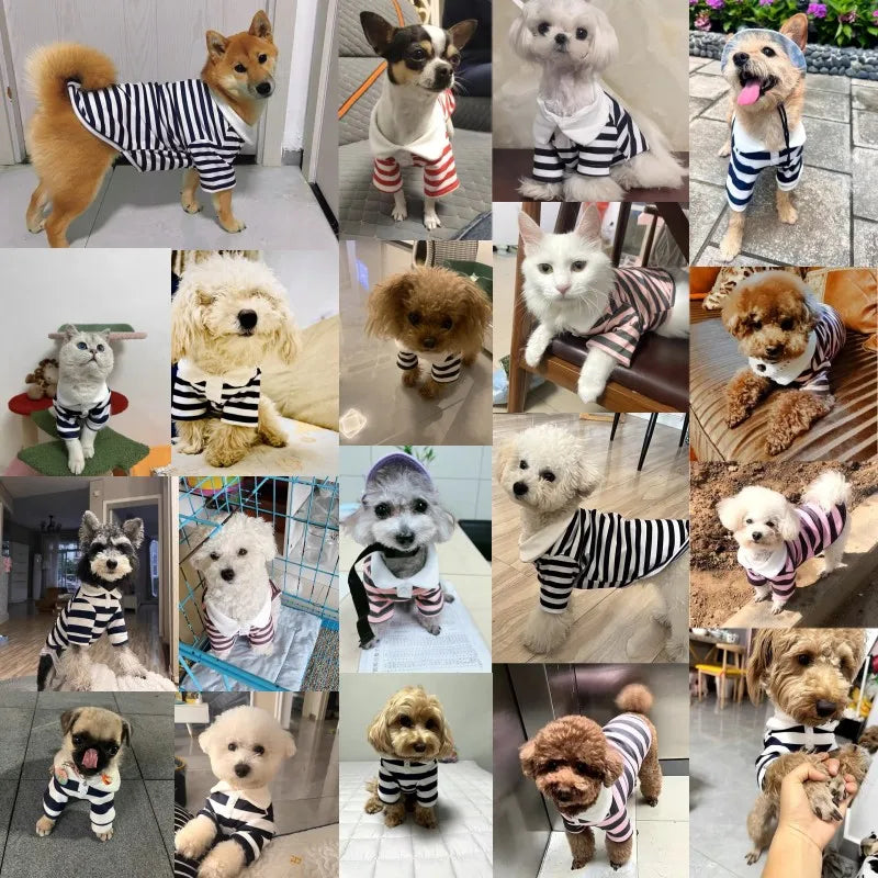 Polo T-Shirt for puppies