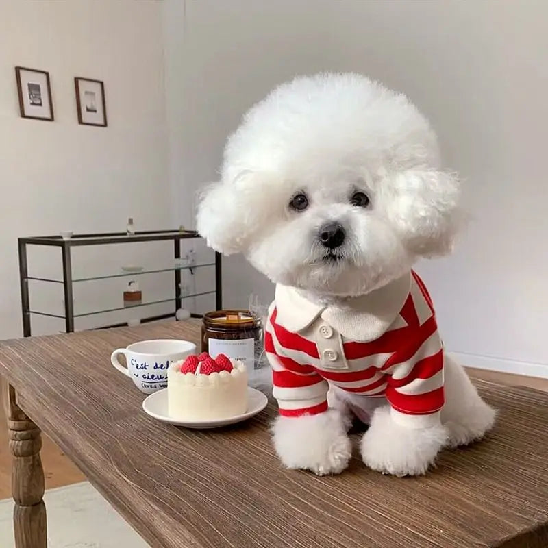 Polo T-Shirt for puppies