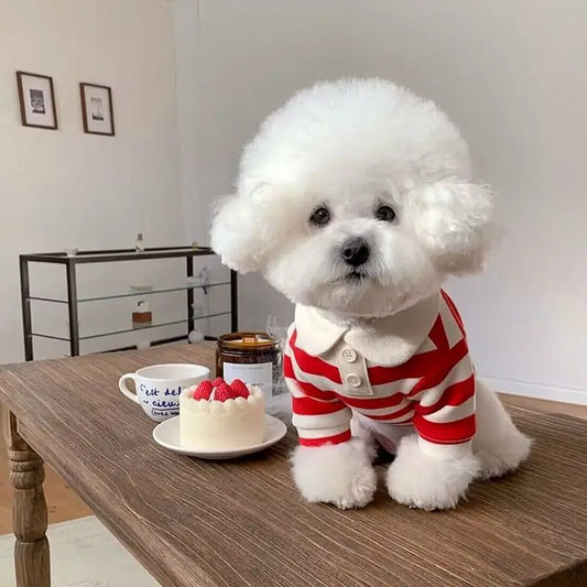 Polo T-Shirt for puppies
