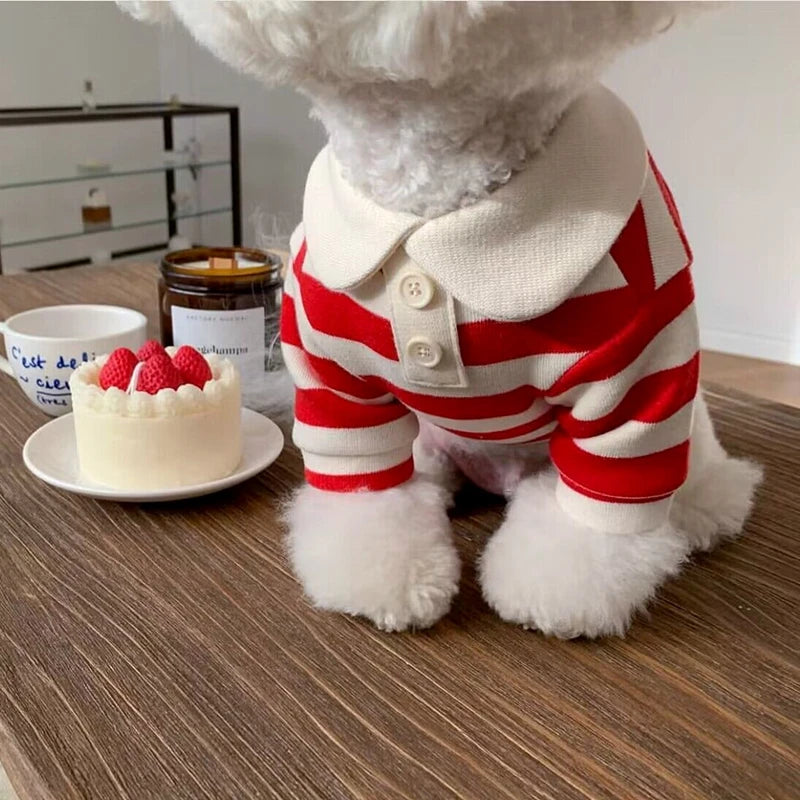Polo T-Shirt for puppies