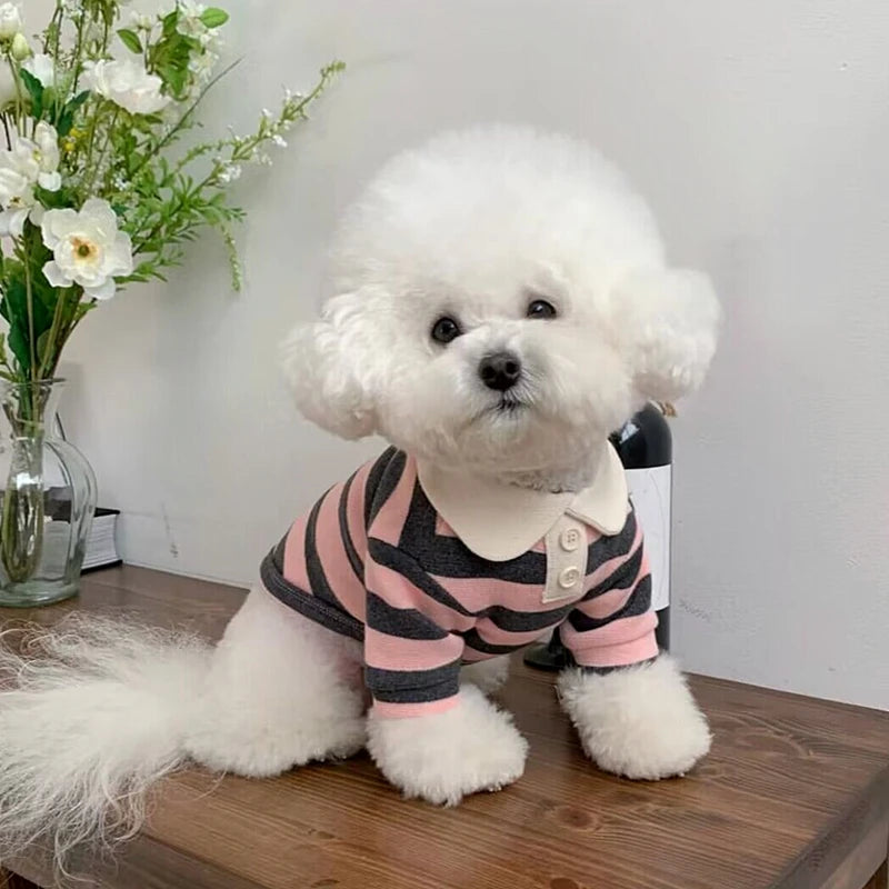Polo T-Shirt for puppies