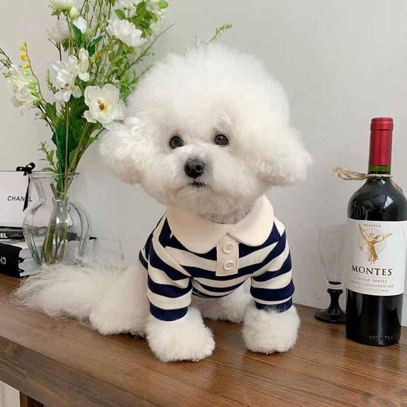 Polo T-Shirt for puppies